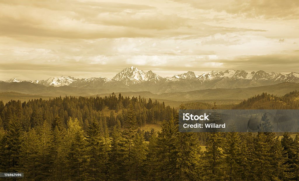 snowcapped mountain valley con tonos picos y pines - Foto de stock de Aire libre libre de derechos