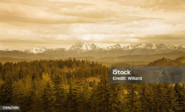 Tonacja Mountain Valley Z Snowcapped Daszki I Pines - zdjęcia stockowe i więcej obrazów Bez ludzi