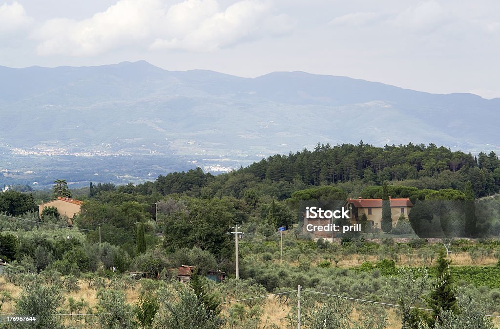 De Chianti, na Toscana - Royalty-free Agricultura Foto de stock