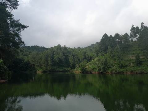 photo of lake inside the beautiful green forest