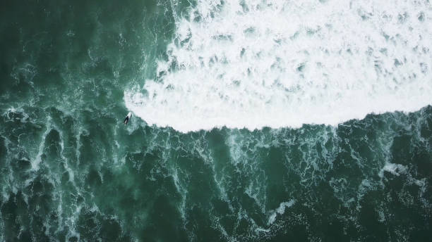 istock Young surfer girl seeking for waves 1769714212