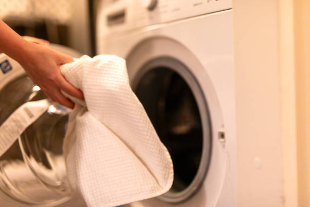 istock Modern washing machine equipment stands at home 1769737386