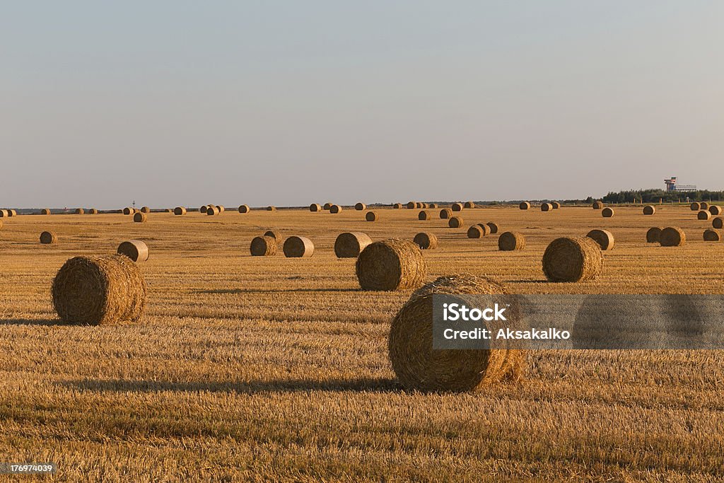 Probar Campo - Foto de stock de Acostado libre de derechos