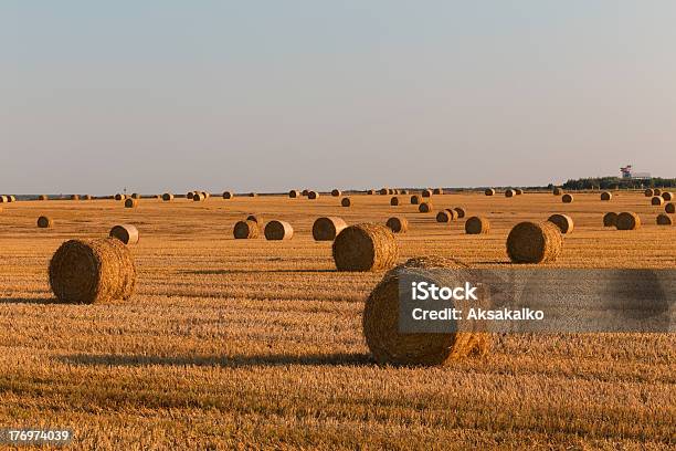 Probar Campo Foto de stock y más banco de imágenes de Acostado - Acostado, Agricultura, Aire libre