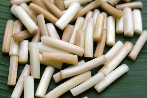 istock Fresh lotus rootlet on banana leaf 1769745835