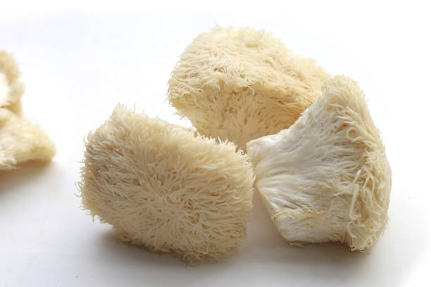 istock Fresh lion's mane mushroom. (Yamabushitake Mushroom) 1769757054