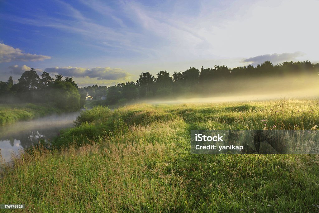 El sol de verano - Foto de stock de Idílico libre de derechos