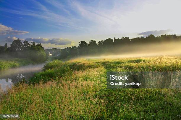 El Sol De Verano Foto de stock y más banco de imágenes de Idílico - Idílico, Agua, Aire libre