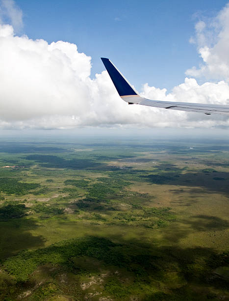 istock Looking at the view through an airplane window 176977226