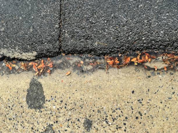 istock a wet sidewalk with a puddle of water. 1769776305