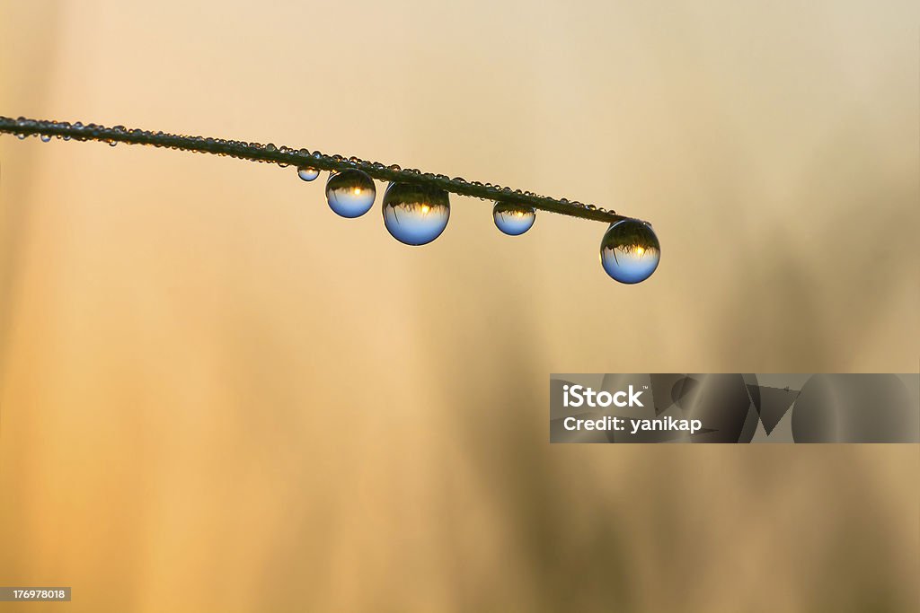 Riflessione in gocce di rugiada mondo - Foto stock royalty-free di Acqua