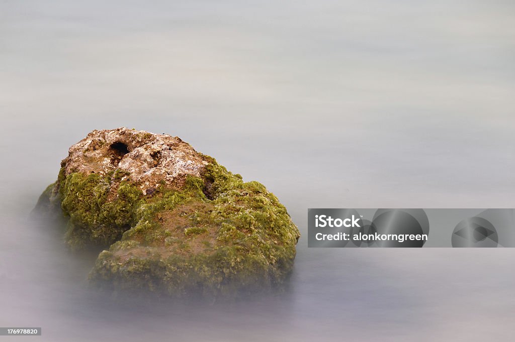 long exposure of seaweed covered rock long exposure of seaweed covered rocks Abstract Stock Photo