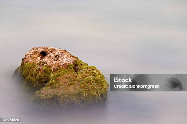 Long Exposure Of Seaweed Covered Rock Stock Photo - Download Image Now - Abstract, Algae, Backgrounds