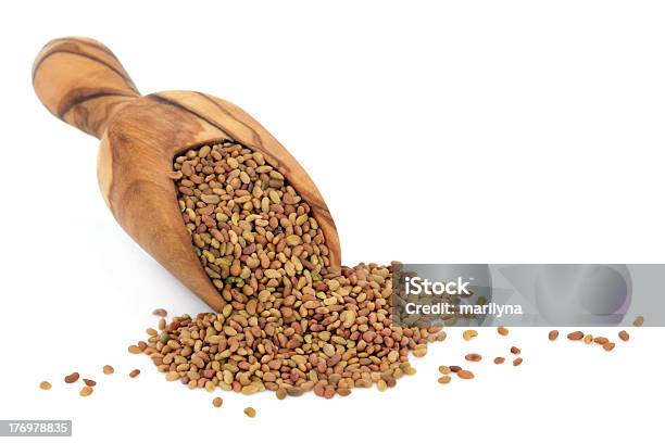 Alfalfa Seed Stock Photo - Download Image Now - Alfalfa, Cut Out, Dried Food