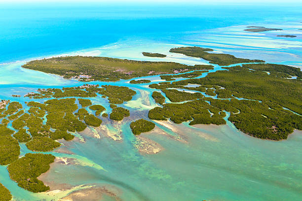 A aerial view of the Florida keys Florida Keys Aerial View (shot from aeroplane) gulf of mexico stock pictures, royalty-free photos & images