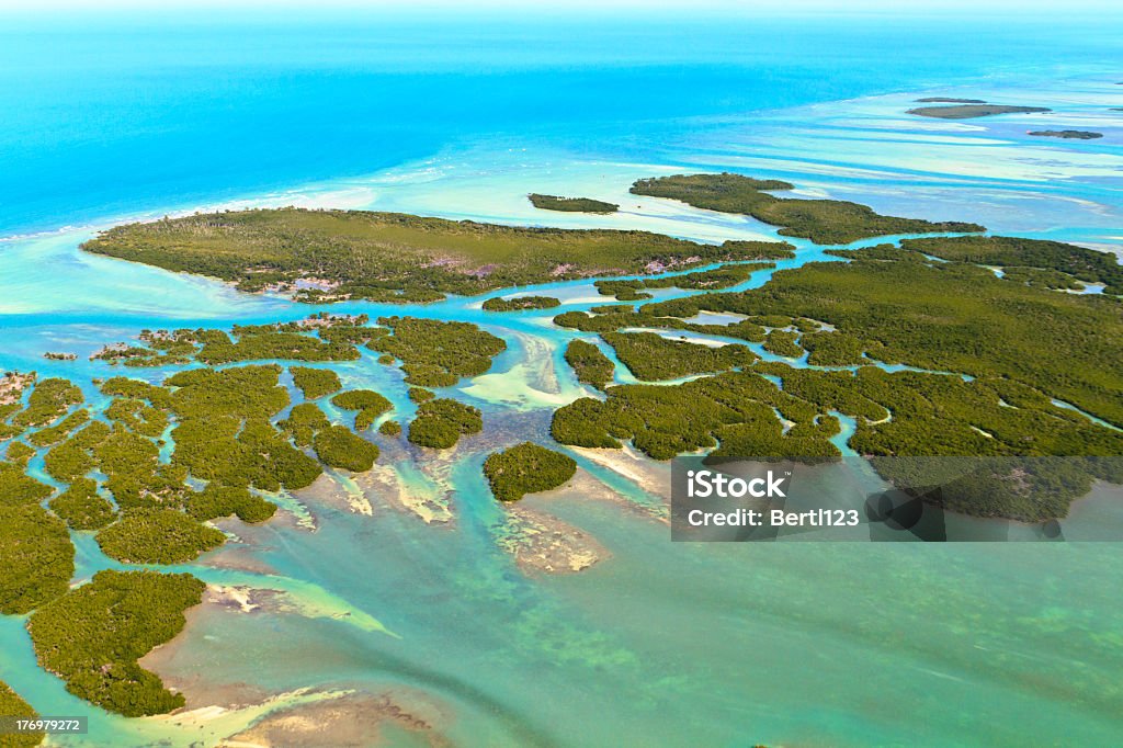 Florida Keys - Foto de stock de Florida Keys royalty-free