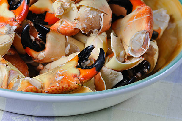 Bowl of Stone Crab Claws Bowl of Fresh Florida Stone Crab Claws crab leg photos stock pictures, royalty-free photos & images