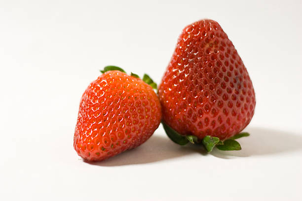 strawberry stock photo