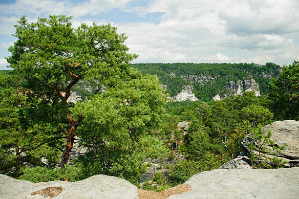 beautiful mountain scenery in summer. stock photo