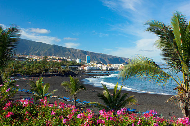 Playa Jardin beach on Tenerife Island in Spain "Playa Jardin,Puerto de la Cruz, Tenerife, Spain" tenerife stock pictures, royalty-free photos & images