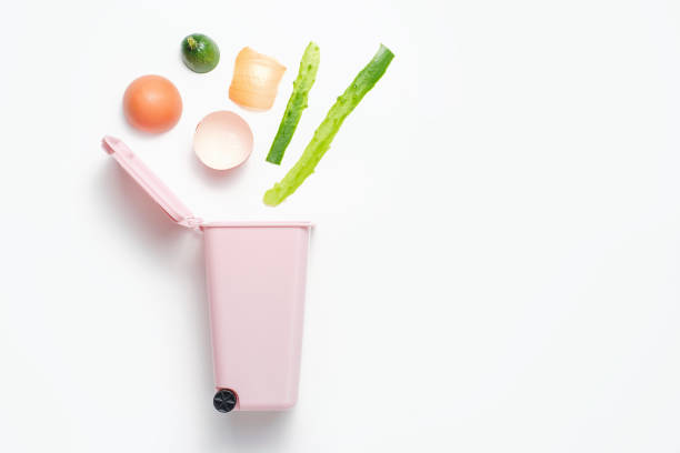 istock A food waste and trash bin on white background, the concept of garbage sorting. 1769810331