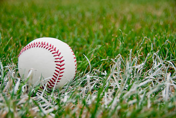 istock Baseball on grass by the white line 176981347