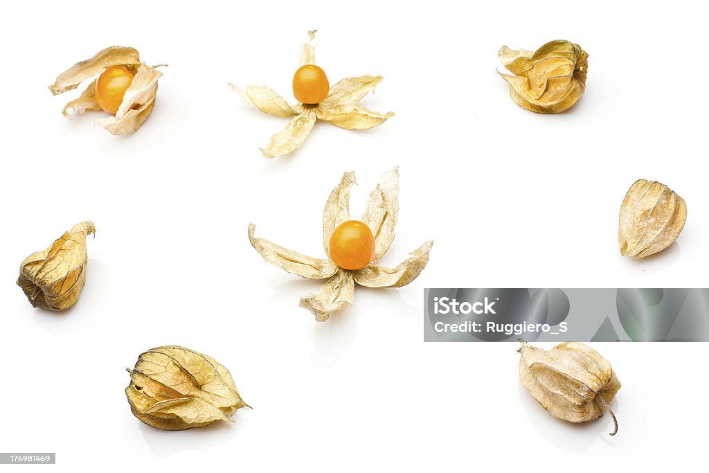 physalis isolé sur blanc - Photo de Aliment libre de droits