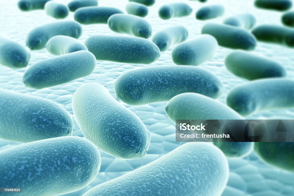 Bacterias - Foto de stock de Antihigiénico libre de derechos