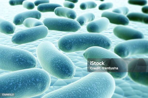 Bacterias Foto de stock y más banco de imágenes de Antihigiénico - Antihigiénico, Asistencia sanitaria y medicina, Aumento a gran escala