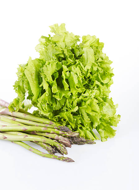 asparagus and lettuce stock photo