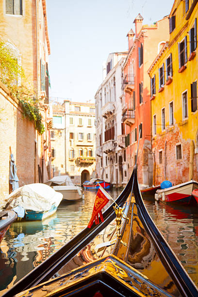 istock Gondola trip in Venice 176981583