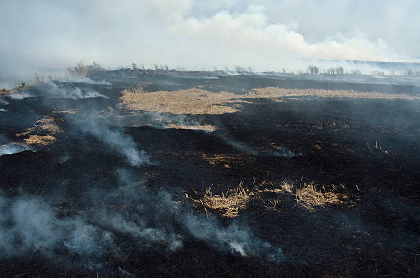 istock Burning of a Farmers Field. 176982273