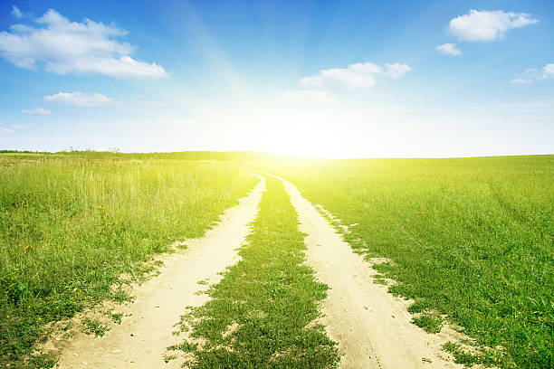 istock Country road and bright sun. 176982737
