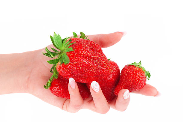 istock Strawberry in the hands isolated on white backgound 176983125
