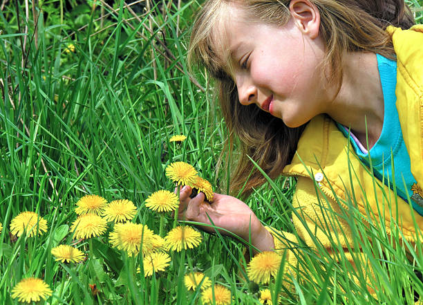 istock girl and flowering dandelions 176983144