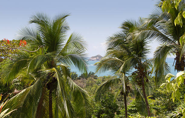 istock costa rica landscape 176983492