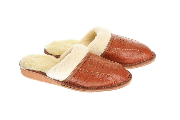 istock brown slippers isolated on a white background. 176983603