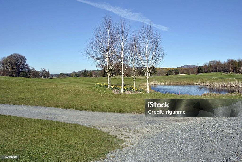 春に公園ゴルフコース - アイルランド共和国のロイヤリティフリーストックフォト