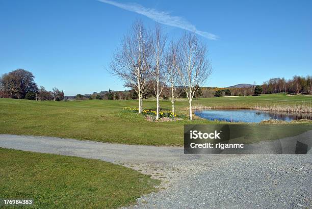 Foto de A Primavera Em Um Parque Campo De Golfe e mais fotos de stock de Ajardinado - Ajardinado, Azul, Bosque - Floresta