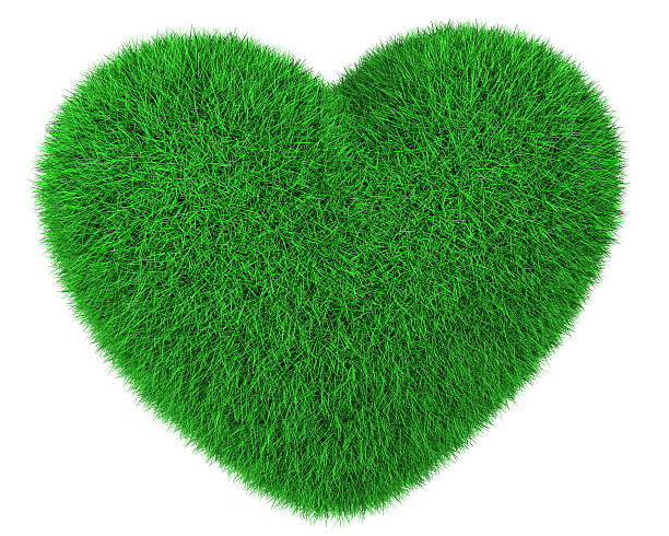 istock Heart made of green grass isolated 176984420