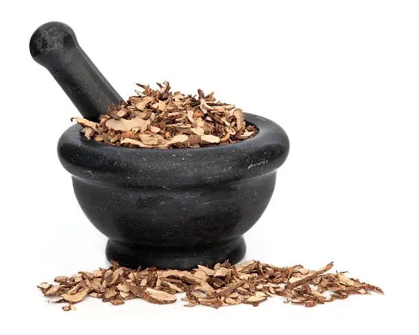 Sweetflag root used in traditional chinese herbal medicine in a black granite mortar with pestle over white background. Shi chang pu. Rhizoma acori graminae.