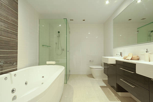 istock Stylish new twin bathroom. 176984847