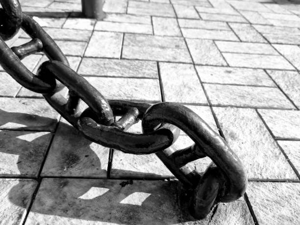 Free Stock Photo of Chain Link Fence in Black and White | Download Free ...