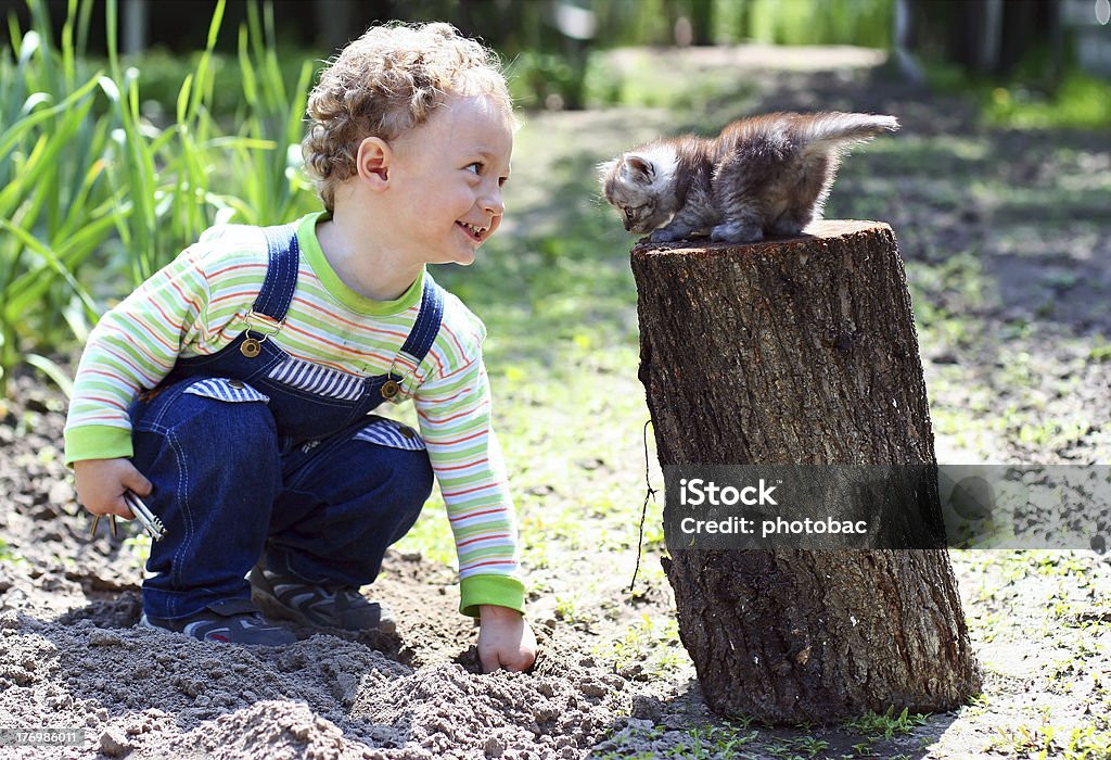 Little boy playing with kitten Little boy playing with kitten outdoors Kitten Stock Photo