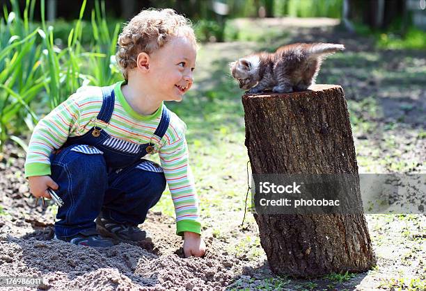Little Boy Playing With Kitten Stock Photo - Download Image Now - Kitten, Preschool Student, Adult