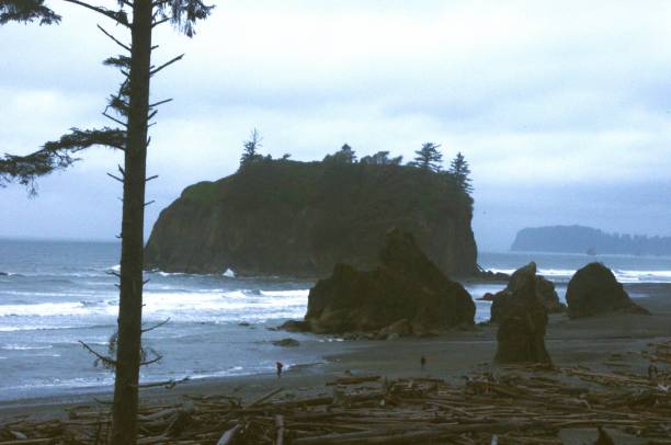 istock Beach on a cloudy day with large rock formation 1769860265