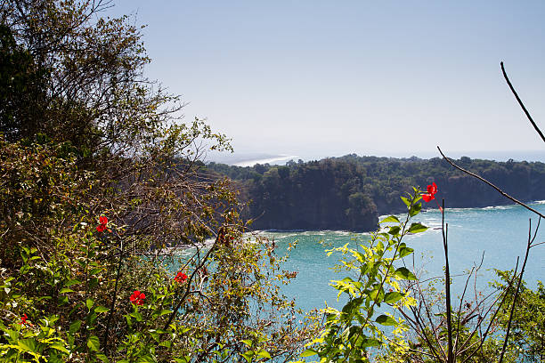 Paisagem da costa Rica - foto de acervo