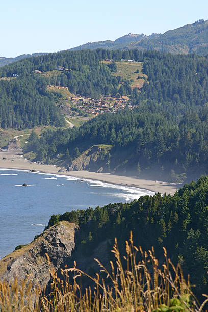 istock Coast of Northern California 176986603