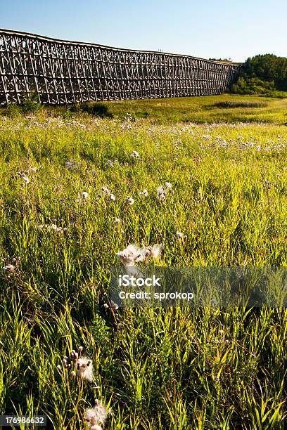 Photo libre de droit de Pont Sur Chevalets Du Fleuve banque d'images et plus d'images libres de droit de Acier - Acier, D'autrefois, En bois