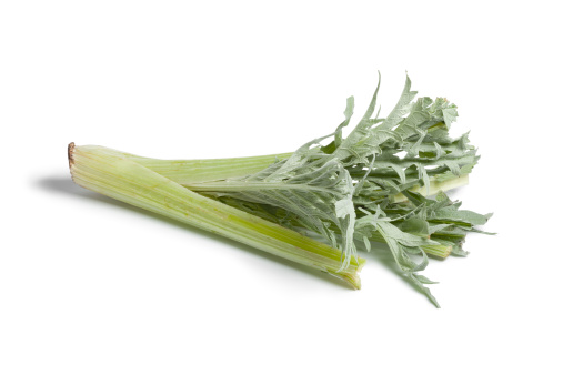 Fresh raw cardoon on white background